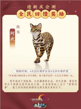 兽人传说天龙八部私服